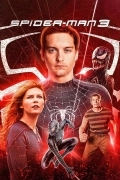 Free Spider Man 3 (2007) (Hindi + English) Dual Audio Hollywood Movie BluRay HD ESub